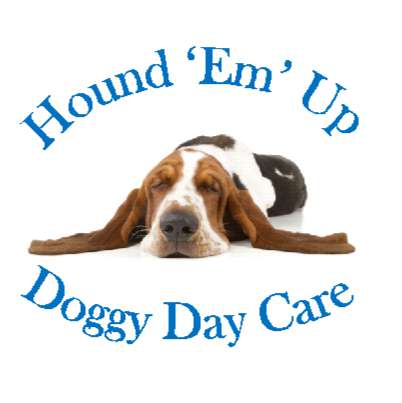 Hound 'Em' Up Doggy Day Care photo
